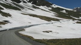 IMG_5151.JPG