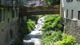 IMG_5221.JPG