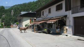 IMG_5230.JPG