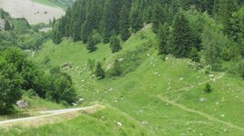 IMG_5275.JPG