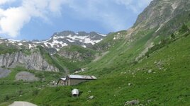 IMG_5278.JPG