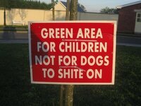 Dog s.jpg