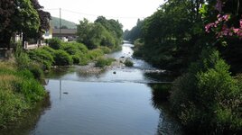 IMG_5355.JPG