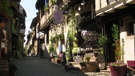 IMG_5375.JPG