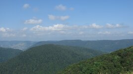 IMG_5425.JPG