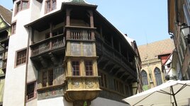 IMG_5446.JPG