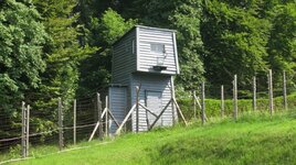 IMG_5405.JPG