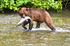 DSC_1552_2.jpg