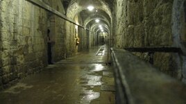 IMG_5551.JPG