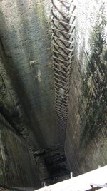 IMG_5558.JPG