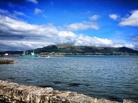 35.jpg