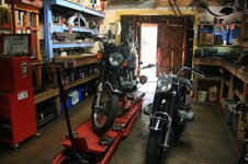 IMG_2859 psr.jpg