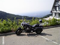 SANY07401.JPG