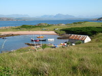 IMG_1054_1.JPG