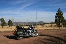 Harley in Arizona.jpg
