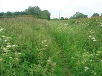 DSC02188.jpg