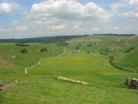 DSC02196.jpg