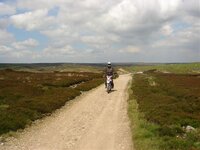 DSC02201.jpg