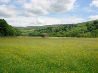 DSC02214.jpg