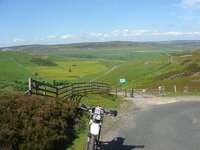 DSC02221.jpg