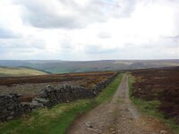 DSC02137.jpg