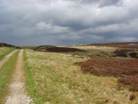 DSC02141.jpg