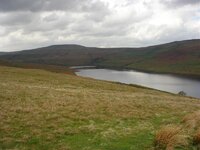 DSC02147.jpg