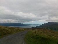 DSC_0784.jpg