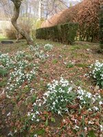 DSCN0848 (Small).JPG