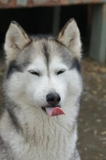 tala.jpg
