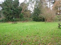 P1011372 (2).jpg