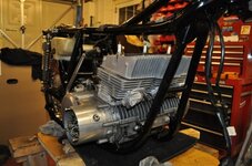 DSC_0858 - Copy.JPG