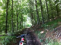 NYM Trails Aug 2013 007.jpg