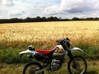 NYM Trails Aug 2013 008.jpg