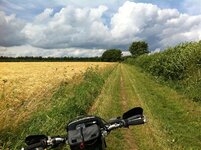 NYM Trails Aug 2013 009.jpg