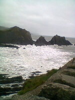 Photo0012.jpg