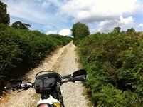NYM Trails Aug 2013 012.jpg