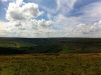 NYM Trails Aug 2013 015.jpg