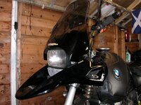 new beak (2).jpg