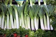 Leek.jpg