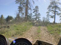 gc trail.jpg