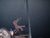 bmf02.jpg