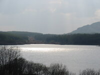 loch side sunlight easter 2003.jpg