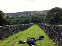 NYM Trails Aug 2013 016.jpg