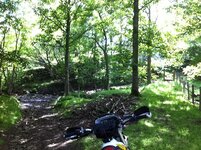 NYM Trails Aug 2013 018.jpg