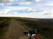 NYM Trails Aug 2013 022.jpg