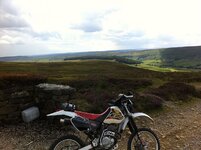 NYM Trails Aug 2013 024.jpg