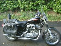 sportster saddlebags.jpg