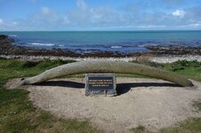 DSC00933.jpg