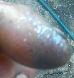 IMG_20140521_172243.JPG